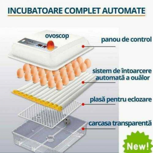 Incubator pentru oua Demetra DM-36. Photo 2
